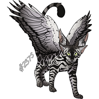 Pet Image