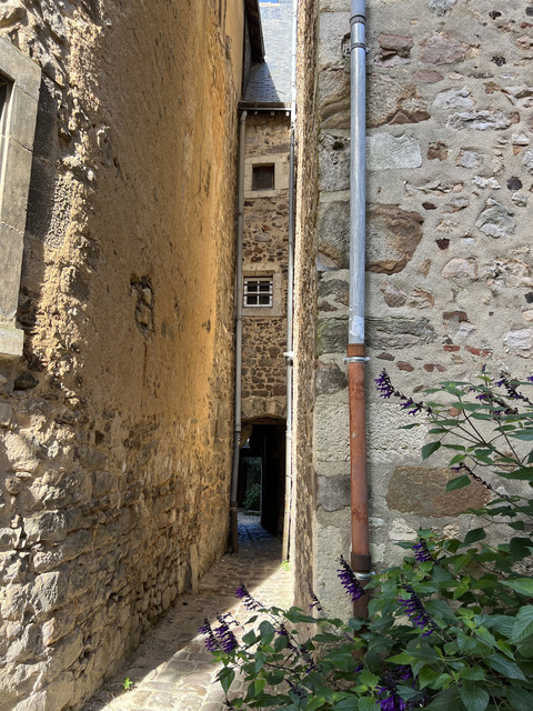 IMG-5318