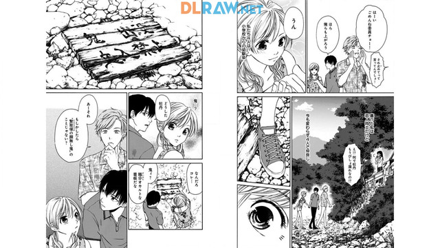 DLRAW-NET-011