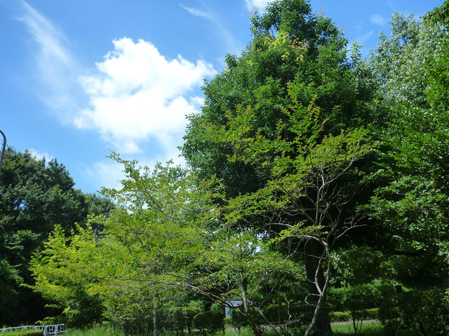 P1330875