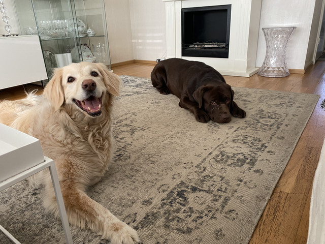 EE4-D5-CAA-9157-4917-BEF3-6-A63-F2-AD58-