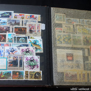 IMG-3111