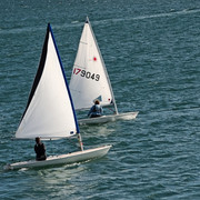 IMGP4428