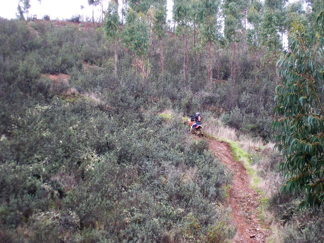 OLYMPUS-DIGITAL-CAMERA.jpg