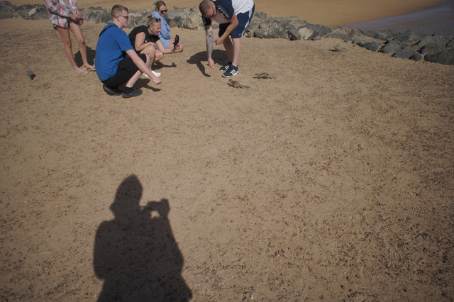 DSC01044.jpg