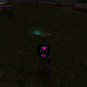 image 29