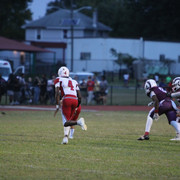 IMG-3243