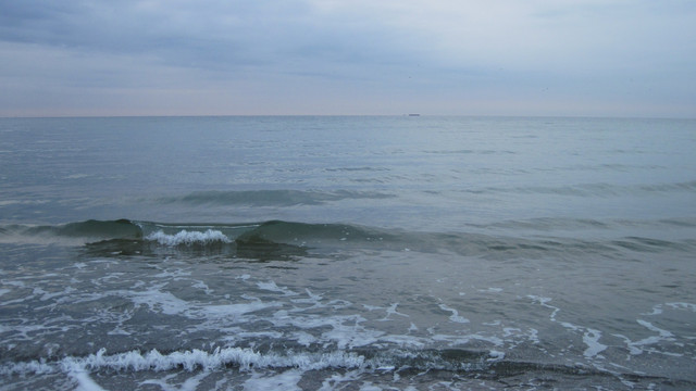 IMG-1250