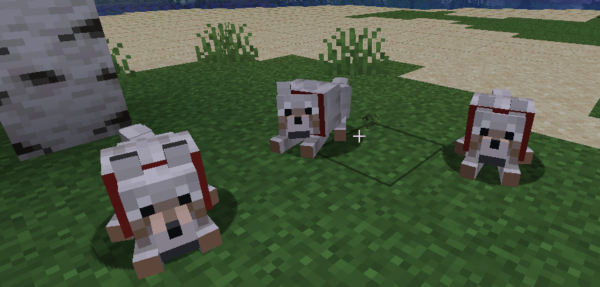 Dogs laying down on the grass