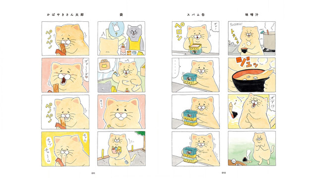 DLRAW-NET-07