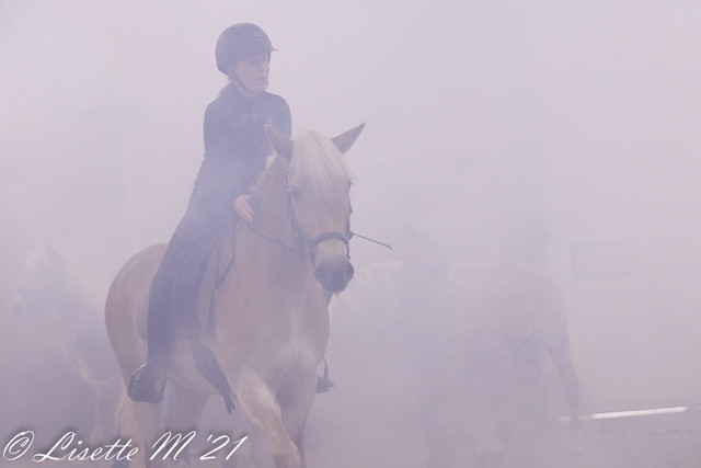 29A7201