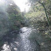 DSCF5524