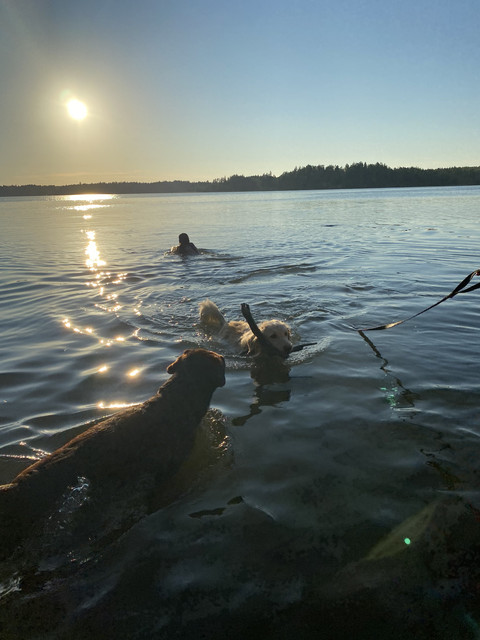 2-BAE6703-0831-4835-AC99-16-D20860-EC15.