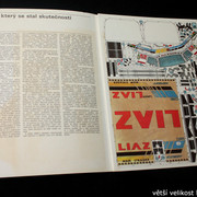 IMG-4509