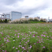 2012-10-09-10