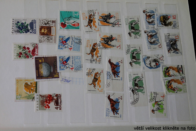 IMG-3024.jpg