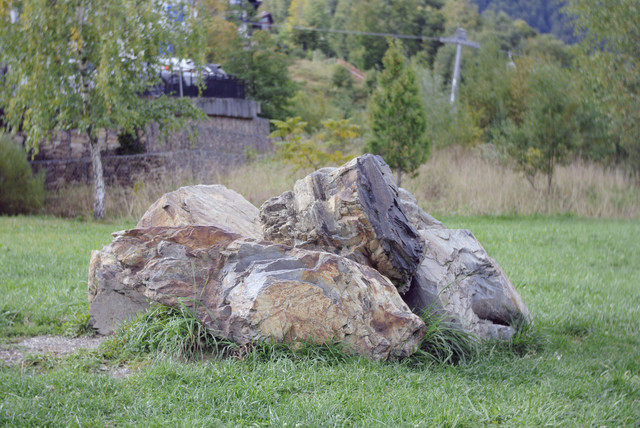 DSC7142.jpg