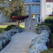 IMG-4192