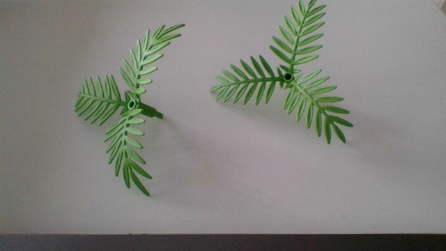 palmtreetop1