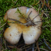 DSC01500