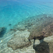 P1060437