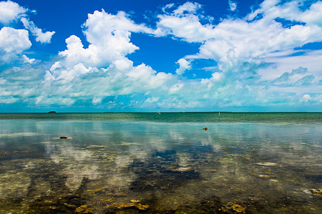 ocean-3673.jpg