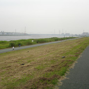 2010-06-25-076