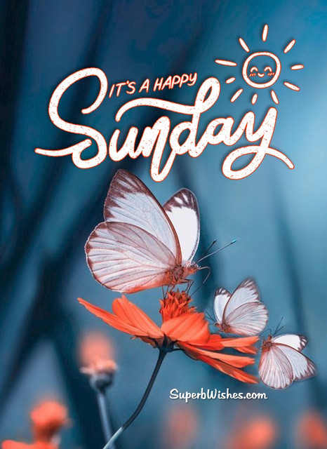 sunday-66