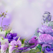 Nature-Good-Day-Emily50