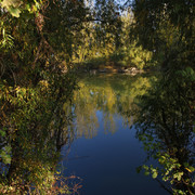 100c0100208m