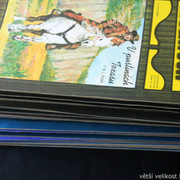 IMG-9120