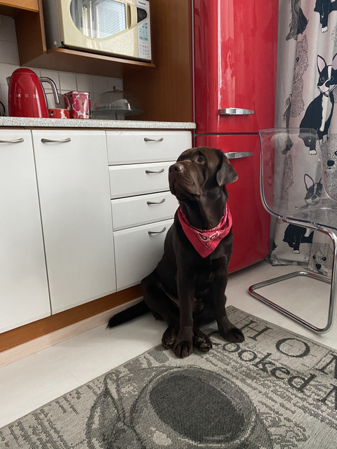 3-A06-F0-F1-28-A0-4323-856-D-8-A7429153-