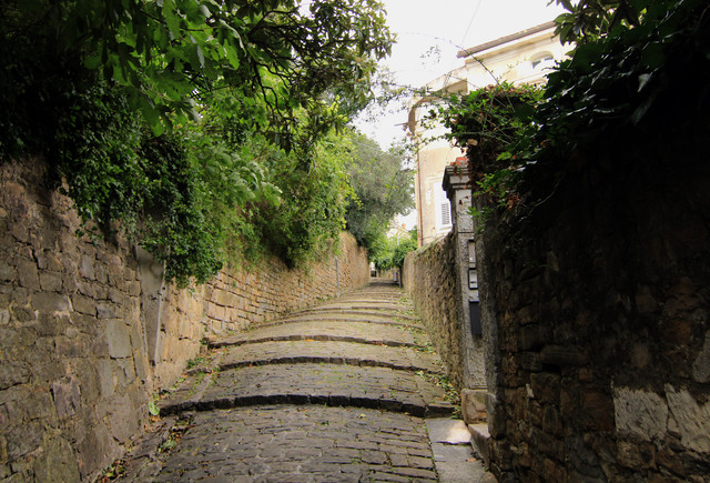 IMG-9782