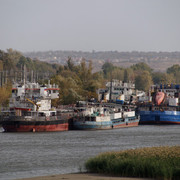 DSC08228