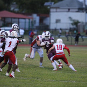 IMG-3101