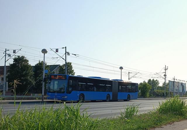 176-na-176.jpg