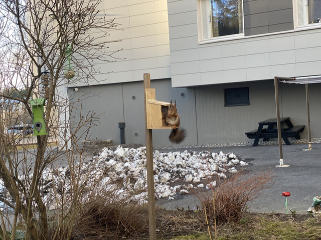 1-B90-DF07-CE1-B-4-EF6-AB65-877-F0984-DB