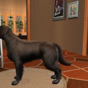 Errol