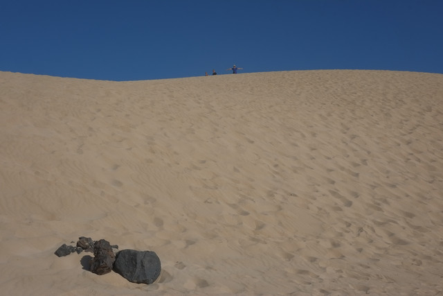 DSCF8582.jpg
