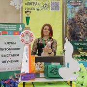 IMG-6469