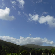 DSCF9086