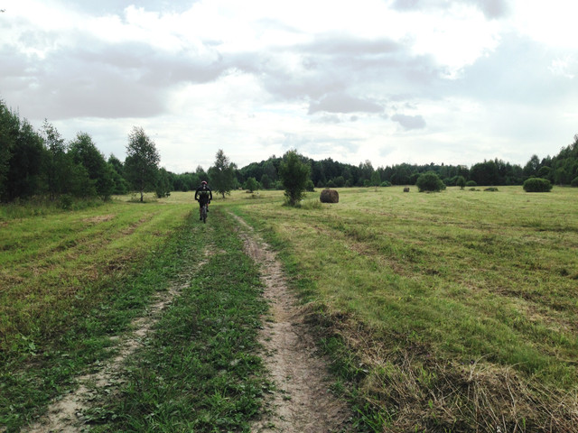 IMG-3966