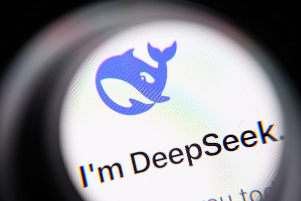  deepseekplay com
