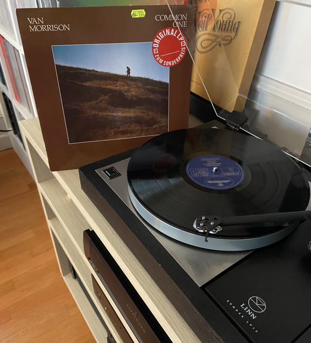 [Image: IMG-6869.jpg]