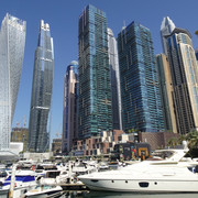 DSC08131