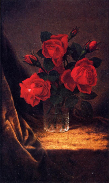 Jaqueminot-Roses