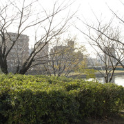 2011-12-21-040