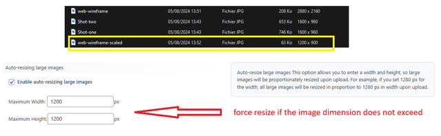 force-resize