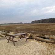IMG-3665