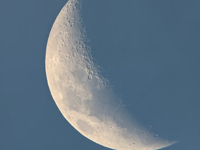 Mond